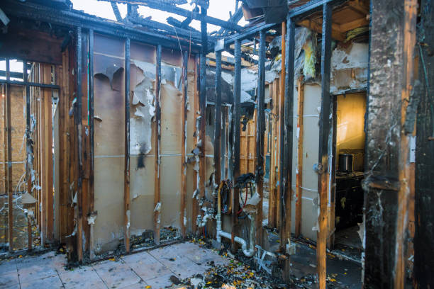 Professional Fire Damage Removal technician working in St. Elmo, IL